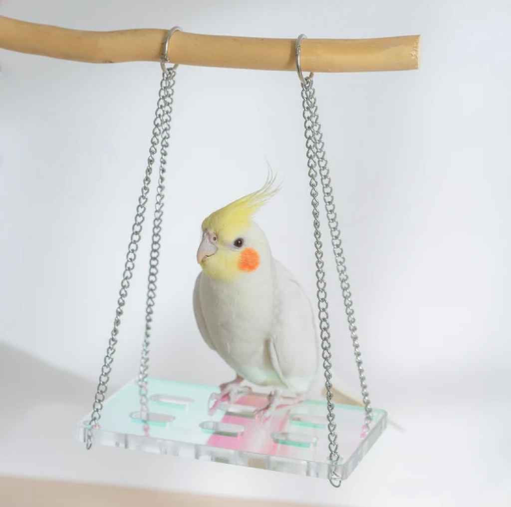 Colorful Acrylic Parrot Platform Swings for Small Medium Bird Parrot Lovebird Budgie