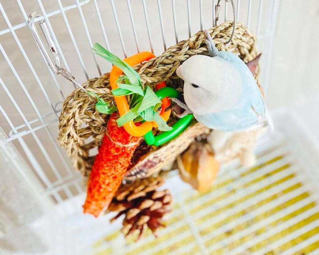 18x18cm 3 Style Seagrass DIY Parrot Toys Handmade Bird Toys Organic Bi WinnieTheBirds Toy Shop